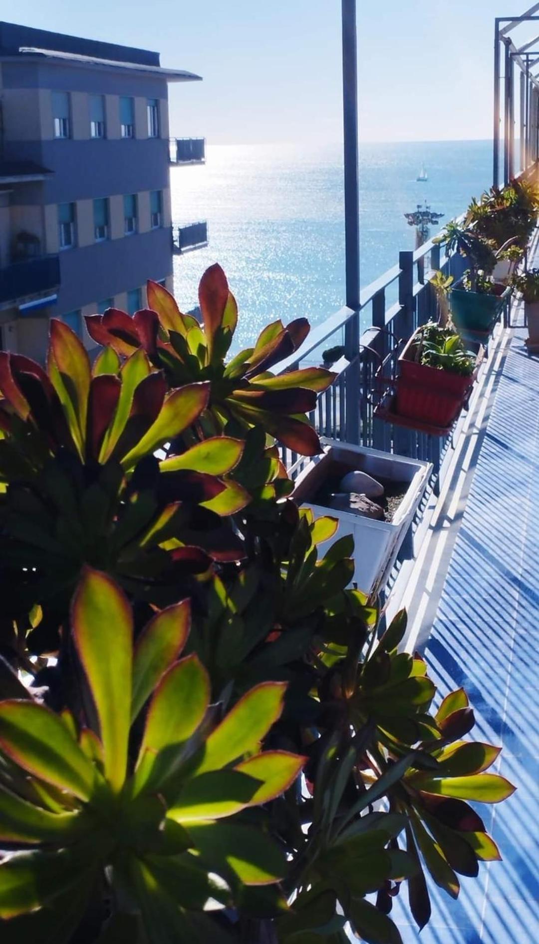 サレルノ Alta Quota Relax On The Sea Bed & Breakfast エクステリア 写真